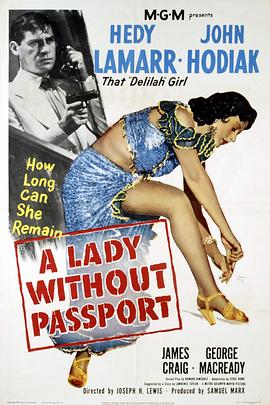 没有护照的女人海报剧照